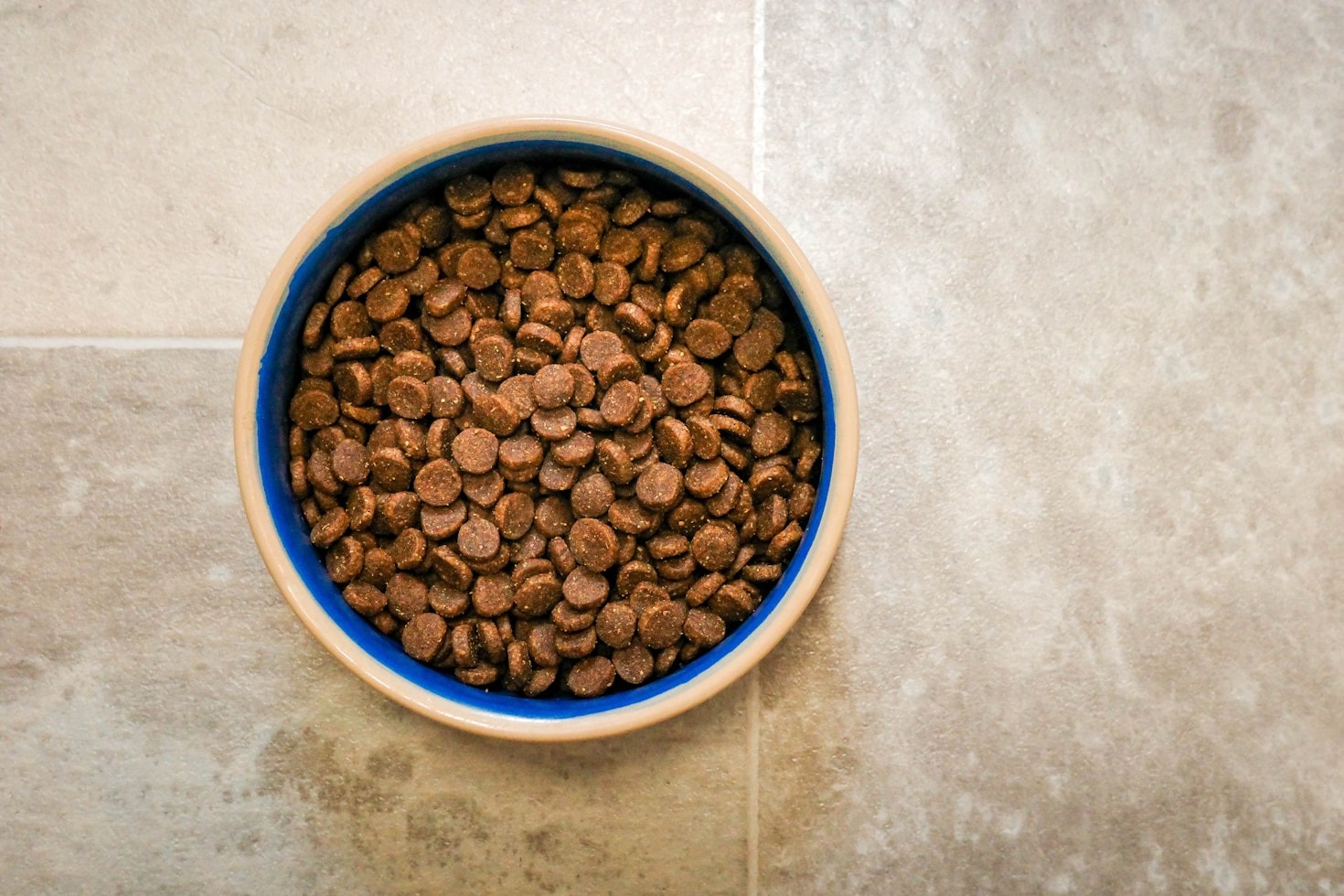 The Art of Cooking for Humans and Pets