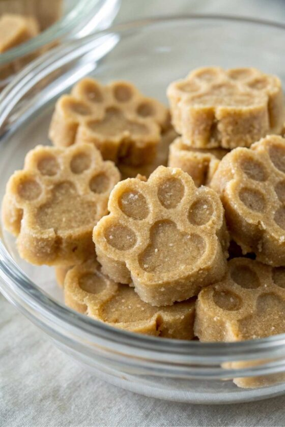 Homemade Peanut Butter Chicken Broth Dog Treats Your Pup Will Beg For 🐾