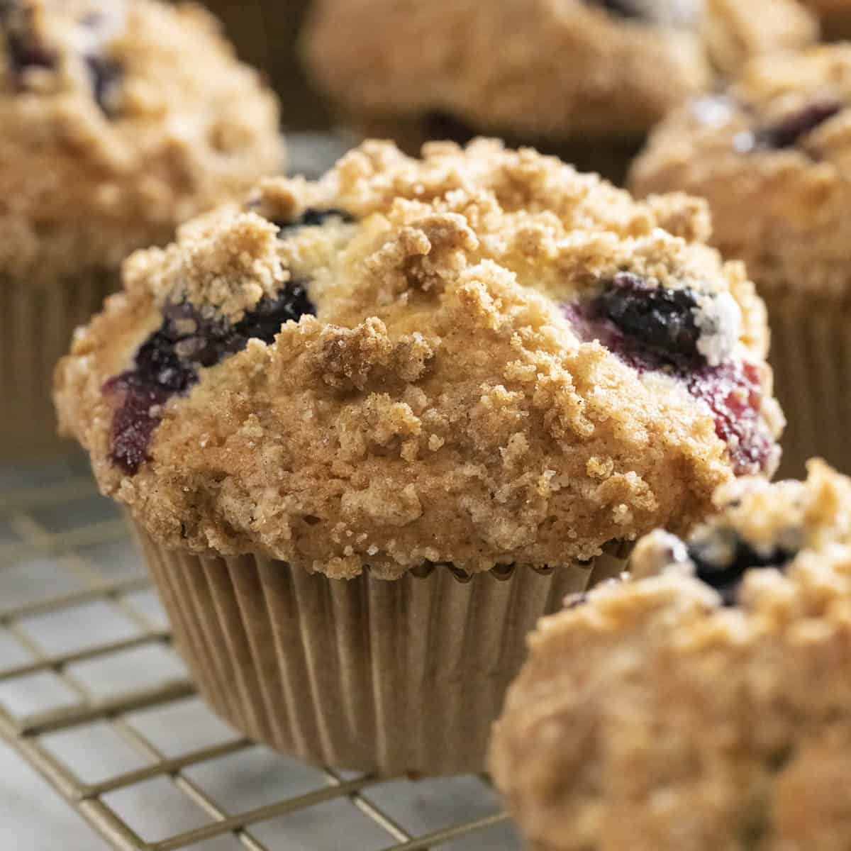 Blueberry Muffins with Crumble Topping